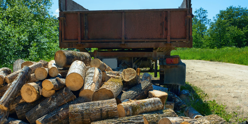 Log Hauling in Belton, South Carolina