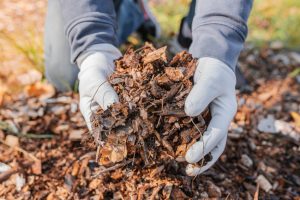 Why You Should Choose Mulch Delivery